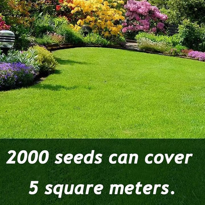 EverLawn – All-Season Green Grass Seed