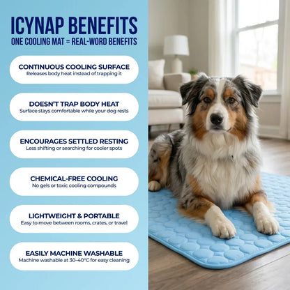 PolarComfort – Breathable Pet Cooling Bed
