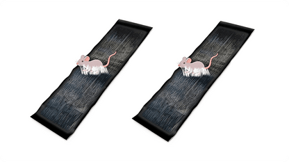 CatchMax – Mouse Trap Mat