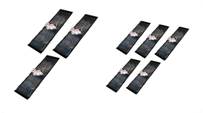 CatchMax – Mouse Trap Mat