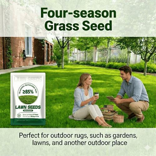 EverLawn – All-Season Green Grass Seed