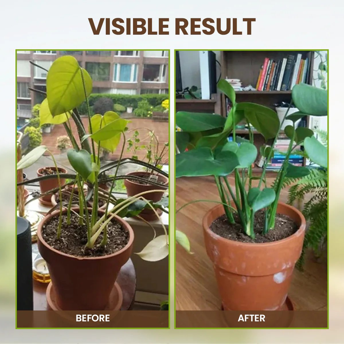 SoilNova – Soil Pro Activator