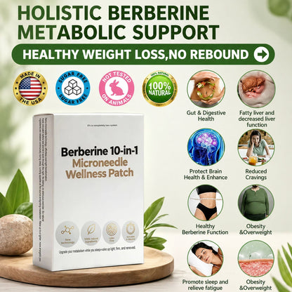 MetaFlow – Daily Wellness Microneedle Patch