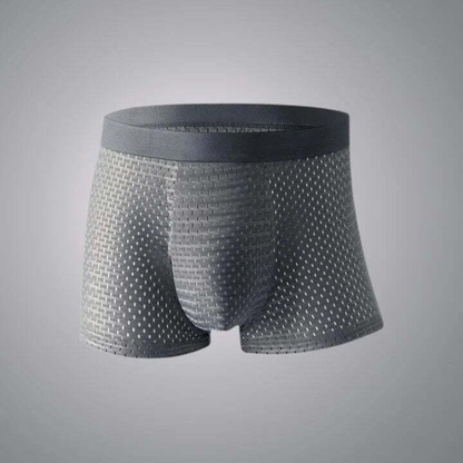 (BUY 2 GET 5) Bamboo Fiber Boxer Shorts