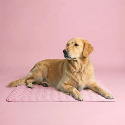 PolarComfort – Breathable Pet Cooling Bed