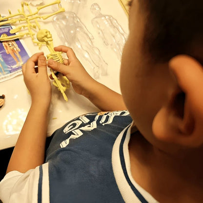 SmartSkeleton – Fun Stem Anatomy Model for Kids