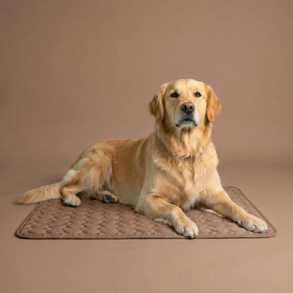 PolarComfort – Breathable Pet Cooling Bed