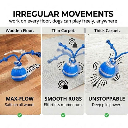 WagRoll – Motion Activated Pet Ball