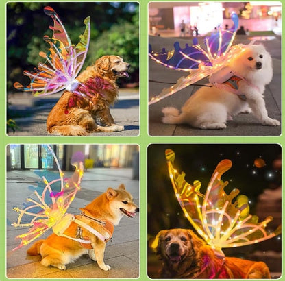 MagicAura – LED Butterfly Fairy Wings