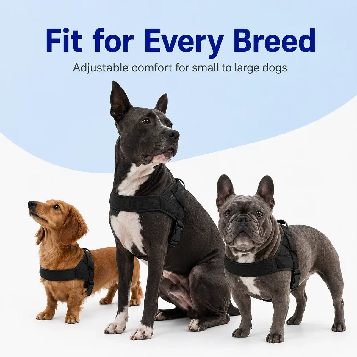 PawGuard – No-Pull Dog Harness
