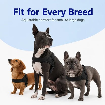 PawGuard – No-Pull Dog Harness