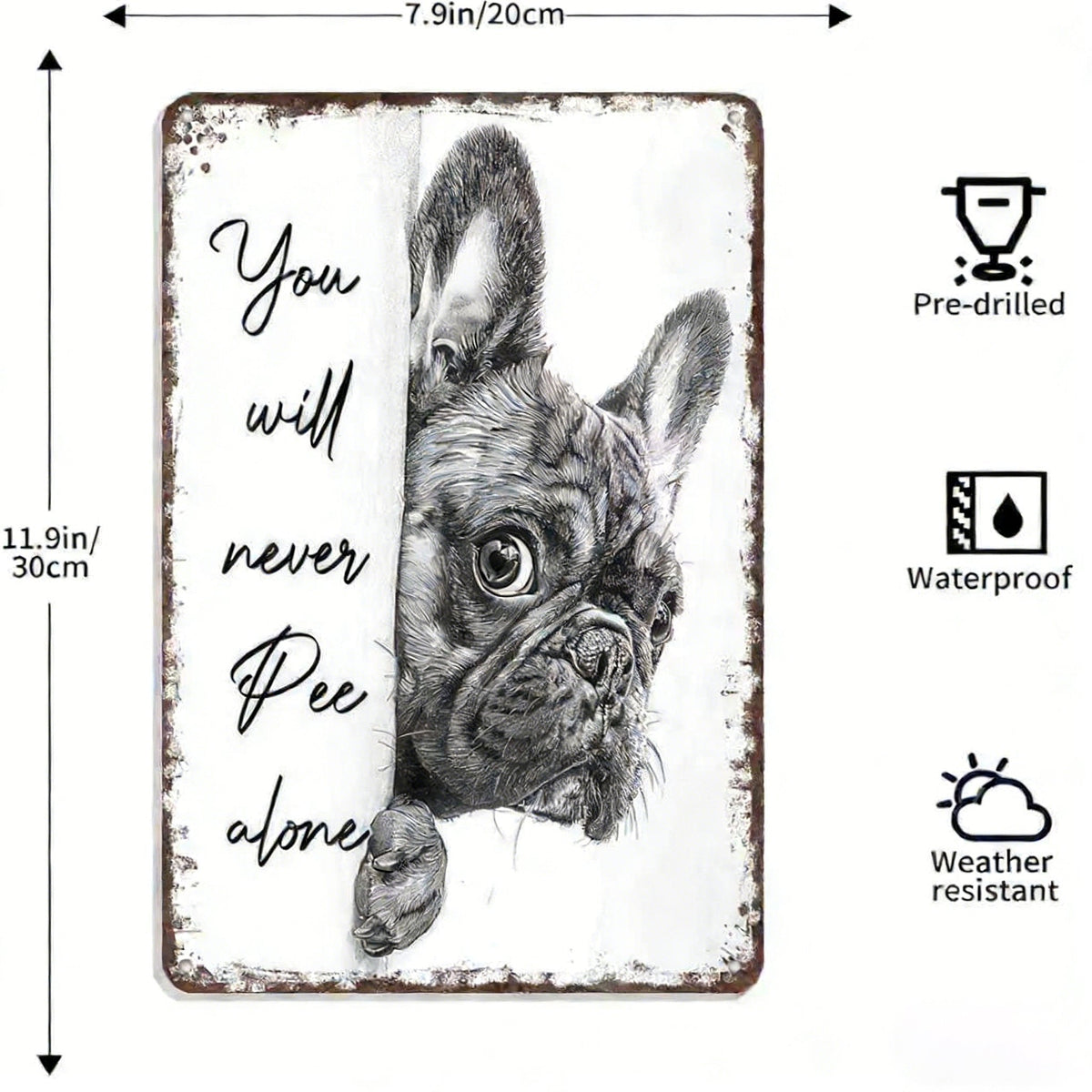 NoirWhiskers - Vintage Cat Wall Art