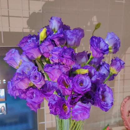 BloomRidge – Hardy Perennial Lisianthus Seeds