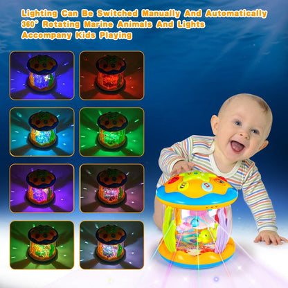 Musical Light-Up Ocean Toy