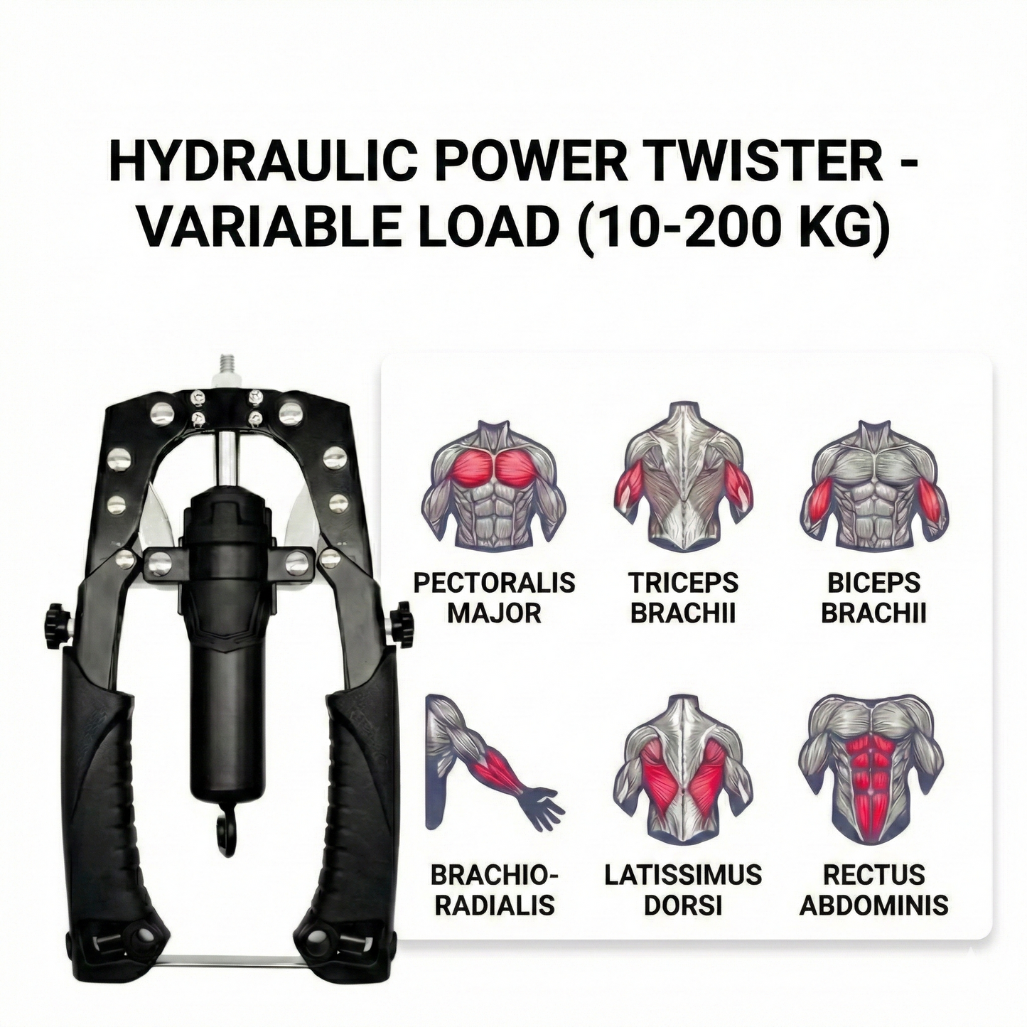 TitanTorque - Landmine Trainer
