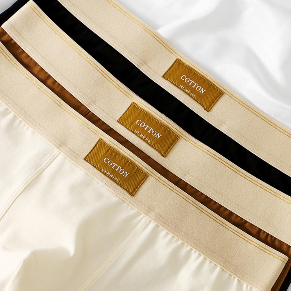 Cotton Boxer Shorts | belevite