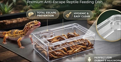 TerraLock – Premium Anti-Escape Reptile Feeding Dish
