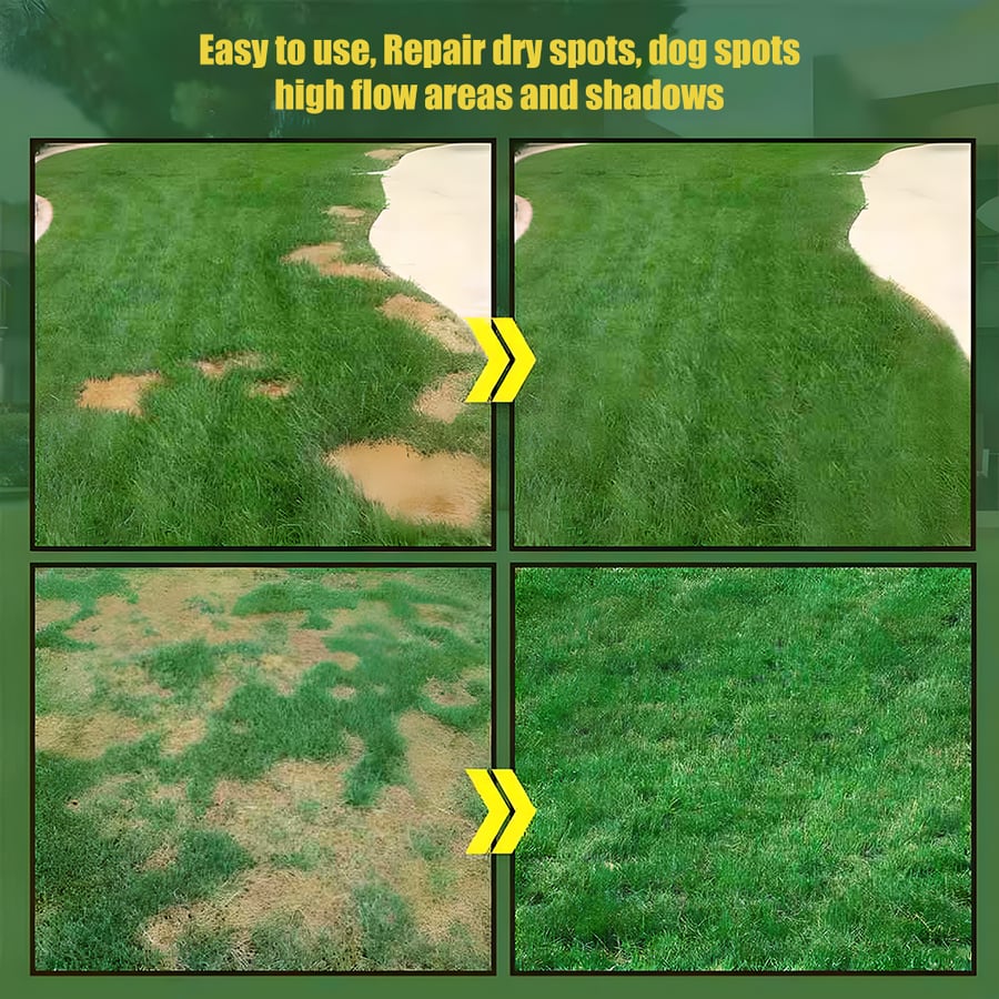 EverLawn – All-Season Green Grass Seed