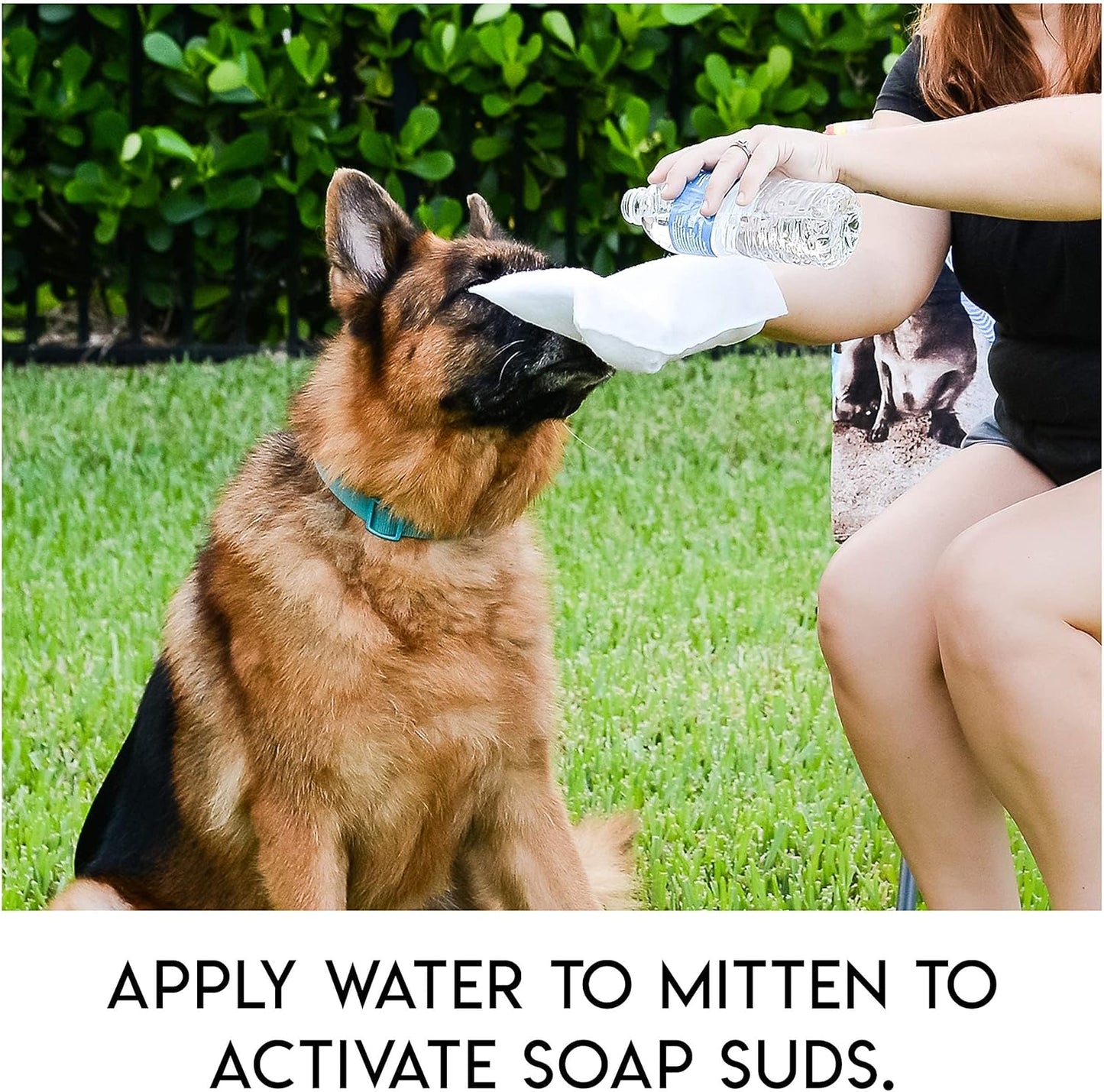 PawComfort – Rinse-Free Grooming Solution