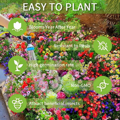 FloraBurst – Mixed Perennial Flower Seeds Collection