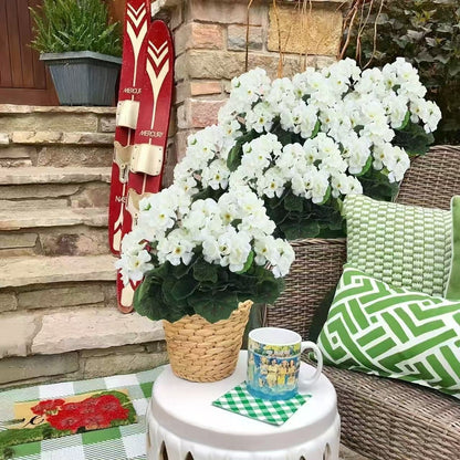 EverBloom – Artificial Geranium Outdoor Flowers