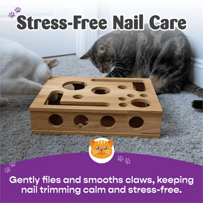 PawPuzzle – Cat Enrichment Scratch & Play Box