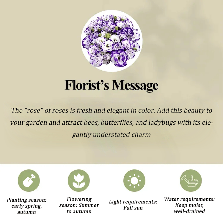 BloomRidge – Hardy Perennial Lisianthus Seeds