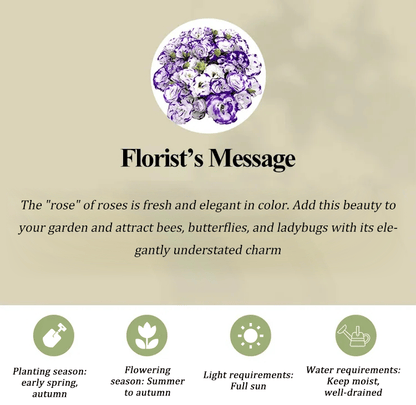 BloomRidge – Hardy Perennial Lisianthus Seeds
