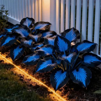 Hosta Haven – Rare Foliage Seed Pack