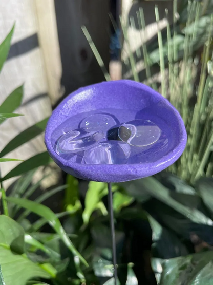 BeeHaven – Pollinator-Friendly Insect & Butterfly Drinking Cups